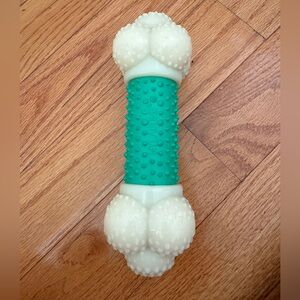 Nylabone White & Green Large Dog Heavy Duty Chewing Bone